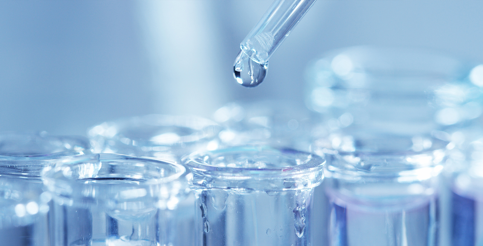 通欄（lán）圖片